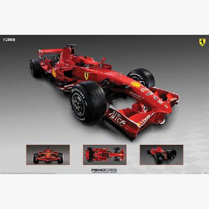 Ferrari F2008 F1 Race Car Poster Detailed Photos